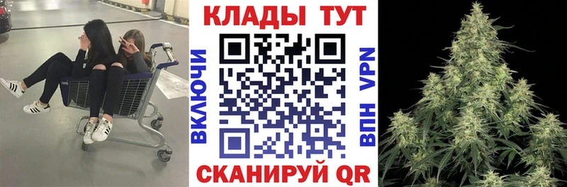 Какие есть наркотики Шелехов Псилоцибиновые грибы АМФ МЕФ А ПВП