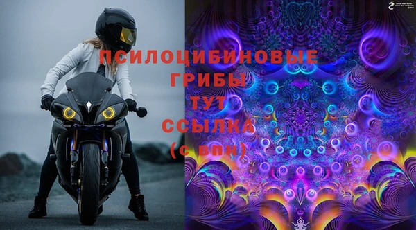 спиды Алзамай