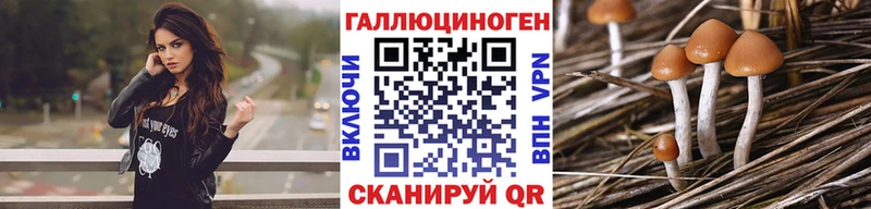 Галлюциногенные грибы ЛСД Шелехов